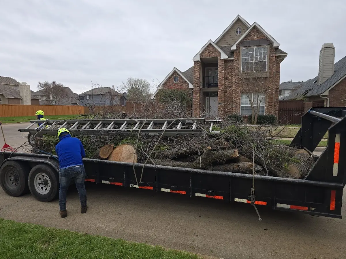 Expert Tree Pest Control with proper safety equipment in San Mateo